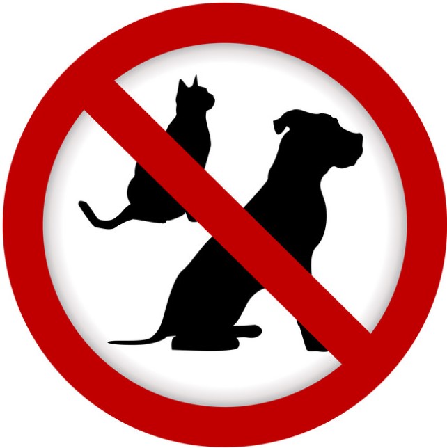 No Pets Allowed